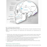 Handbook of Neurosurgery