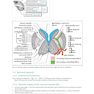 Handbook of Neurosurgery