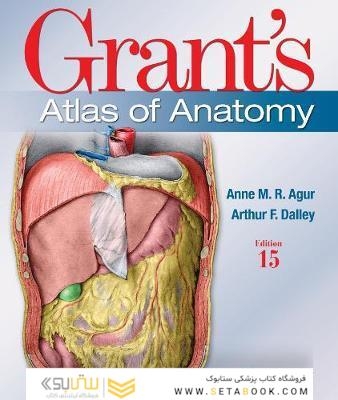 Grant