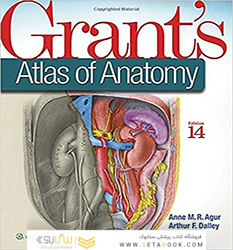 Grant