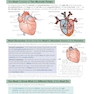 AS-Level Biology OCR Complete Revision - Practice2015