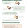 AS-Level Biology OCR Complete Revision - Practice2015