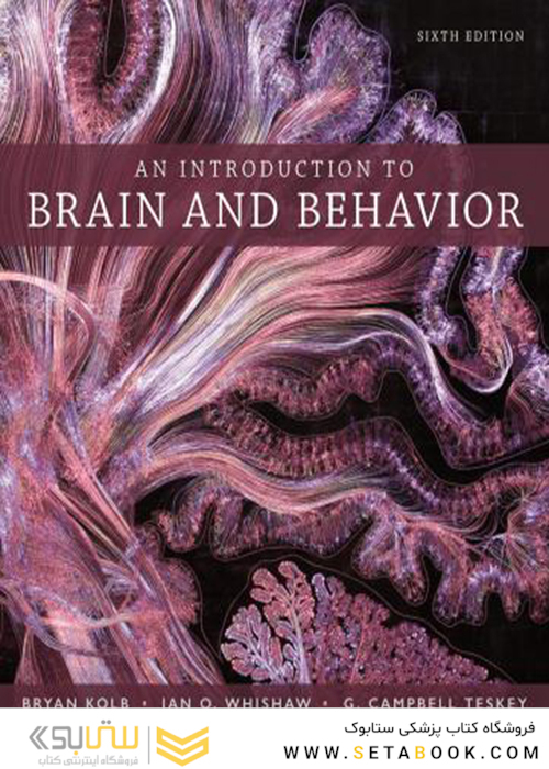 An Introduction to Brain and Behavior Sixth Edicion