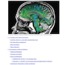 An Introduction to Brain and Behavior Sixth Edicion