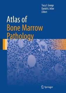 عکس Atlas of Bone Marrow Pathology, 1st Edition2018