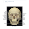 Rhoton’s Atlas of Head, Neck, and Brain