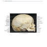 Rhoton’s Atlas of Head, Neck, and Brain