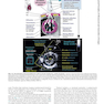 Essential Echocardiography: A Companion to Braunwald’s Heart Disease 1st Edicion