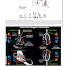 Essential Echocardiography: A Companion to Braunwald’s Heart Disease 1st Edicion