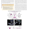 Essential Echocardiography: A Companion to Braunwald’s Heart Disease 1st Edicion