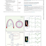 Essential Echocardiography: A Companion to Braunwald’s Heart Disease 1st Edicion