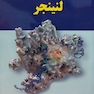 چکیده اصول بیوشیمی لنینجر 2021