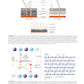 Review of Medical Microbiology and Immunology, Seventeenth Edition 17th Edicion