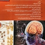 ضروریات نوروآناتومی