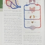 فیزیولوژی پزشکی گایتون هال 2021 جلد 1