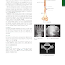 Bontrager’s Textbook of Radiographic Positioning and Related Anatomy, 9th Edition2017