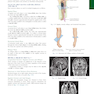 Bontrager’s Textbook of Radiographic Positioning and Related Anatomy, 9th Edition2017