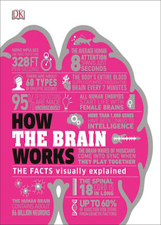عکس How the Brain Works: The Facts Visually Explained (How Things Work)2020