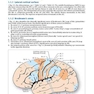 Handbook of Neurosurgery2020  9th Edition