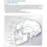 Handbook of Neurosurgery2020  9th Edition