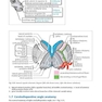 Handbook of Neurosurgery2020  9th Edition