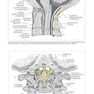 Handbook of Neurosurgery2020  9th Edition