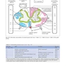 Handbook of Neurosurgery2020  9th Edition