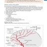 Handbook of Neurosurgery2020  9th Edition