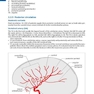 Handbook of Neurosurgery2020  9th Edition