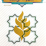 آیین زندگی اخلاق کاربردی