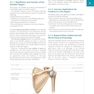 Palpation Techniques: Surface Anatomy for Physical Therapists2021
