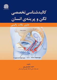 عکس کالبدشناسی تخصصی لگن و پرینه ی انسان