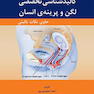 کالبدشناسی تخصصی لگن و پرینه ی انسان