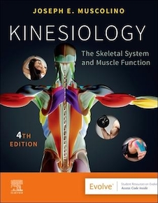 عکس Kinesiology: The Skeletal System and Muscle Function 4th Edición