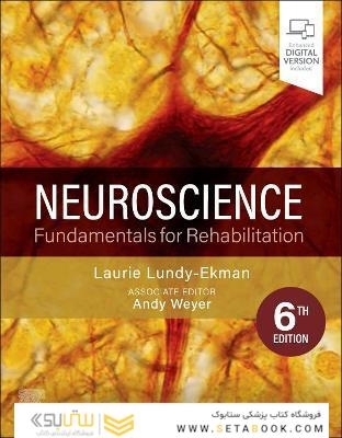 Neuroscience : Fundamentals for Rehabilitation