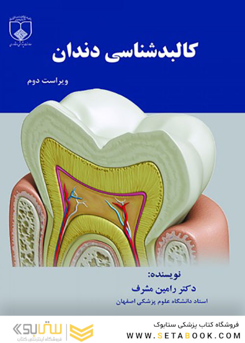 کالبدشناسی دندان