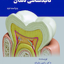 کالبدشناسی دندان