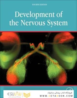 Development of the Nervous System 4th Edición
