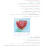 اصول و مبانی کاربردی در ساخت پروتز کامل
