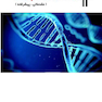 مبانی PCR و طراحی پرایمر (مقدماتی ، پیشرفته)