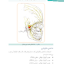 گام به گام با بی حسی موضعی در دندانپزشکی