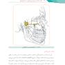 گام به گام با بی حسی موضعی در دندانپزشکی