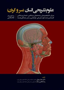 عکس علوم تشریحی انسان سروگردن