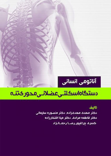 عکس آناتومی انسانی دستگاه اسکلتی عضلانی محوری تنه