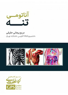 عکس GPS نکات طلایی آناتومی تنه