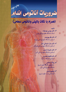 عکس ضروریات آناتومی اندام