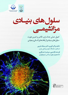 عکس سلول های بنیادی مزانشیمی