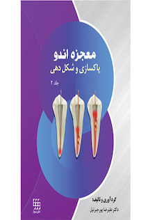 عکس معجزه اندو پاکسازی و شکل دهی جلد2