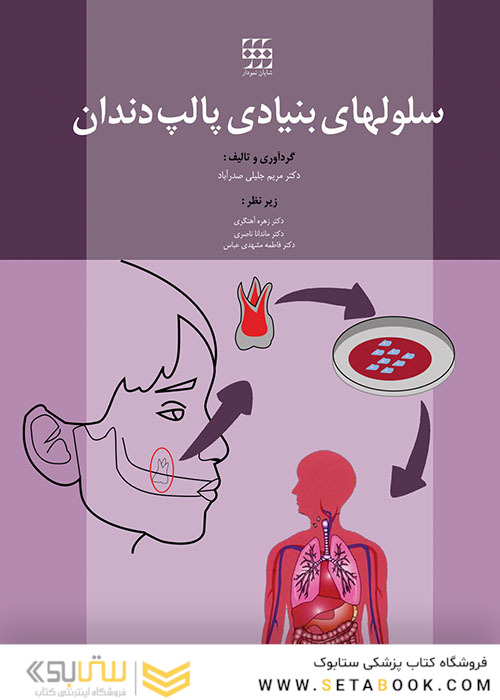 سلول های بنیادی پالپ دندان