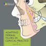 Adapting Dermal Fillers in Clinical Practice